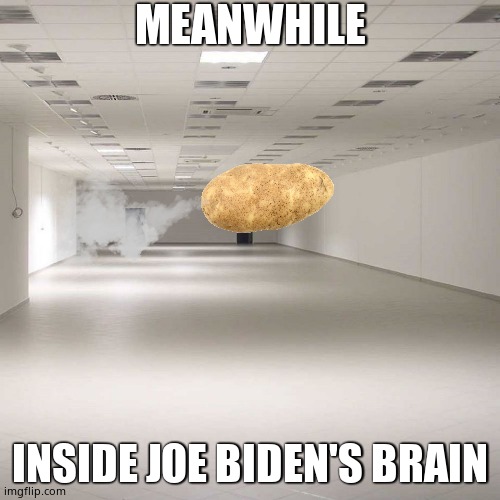 Biden's Brain | MEANWHILE; INSIDE JOE BIDEN'S BRAIN | image tagged in empty room,sad potato,meme,dementia | made w/ Imgflip meme maker