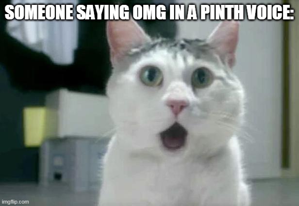 OMG Cat | SOMEONE SAYING OMG IN A PINTH VOICE: | image tagged in memes,omg cat | made w/ Imgflip meme maker
