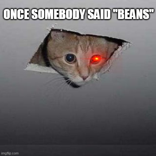 Ceiling Cat Meme | ONCE SOMEBODY SAID "BEANS" | image tagged in memes,ceiling cat | made w/ Imgflip meme maker