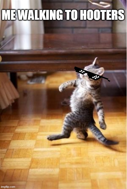 Walking Cat | ME WALKING TO HOOTERS | image tagged in walking cat | made w/ Imgflip meme maker