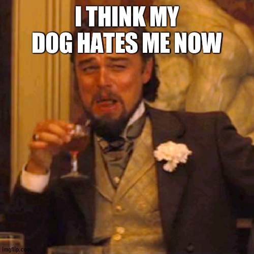 YQHADYWEFQFQGDHSH4 | I THINK MY DOG HATES ME NOW | image tagged in memes,laughing leo | made w/ Imgflip meme maker