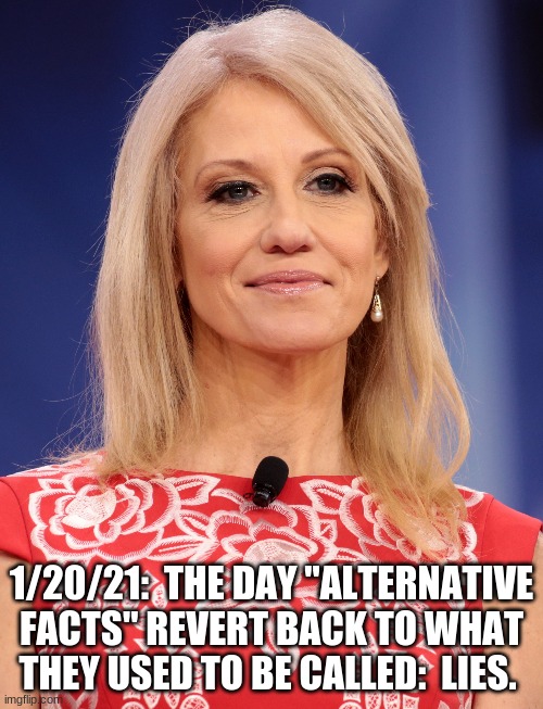 1/20/21:  THE DAY "ALTERNATIVE FACTS" REVERT BACK TO WHAT THEY USED TO BE CALLED:  LIES. | image tagged in liar | made w/ Imgflip meme maker