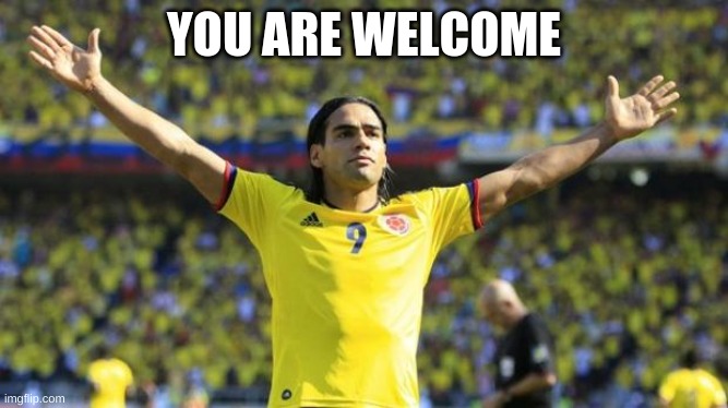 You are welcome | YOU ARE WELCOME | image tagged in you are welcome | made w/ Imgflip meme maker