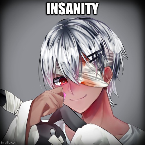 INSANITY | made w/ Imgflip meme maker