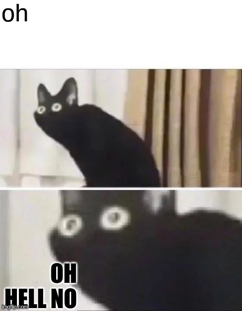 Oh No Black Cat | oh OH HELL NO | image tagged in oh no black cat | made w/ Imgflip meme maker