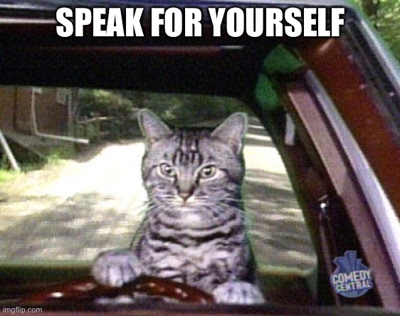 Toonsis the cat that could drive | SPEAK FOR YOURSELF | image tagged in toonsis the cat that could drive | made w/ Imgflip meme maker