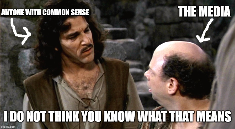 Princess Bride Media Meme | ANYONE WITH COMMON SENSE; THE MEDIA; I DO NOT THINK YOU KNOW WHAT THAT MEANS | image tagged in social media | made w/ Imgflip meme maker