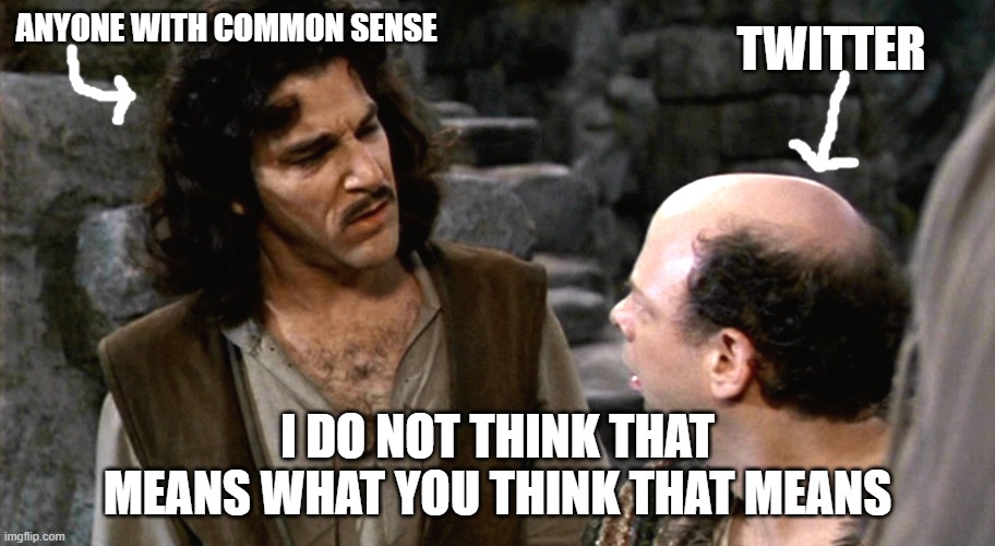 Princess Bride Twitter Meme | ANYONE WITH COMMON SENSE; TWITTER; I DO NOT THINK THAT MEANS WHAT YOU THINK THAT MEANS | image tagged in social media | made w/ Imgflip meme maker