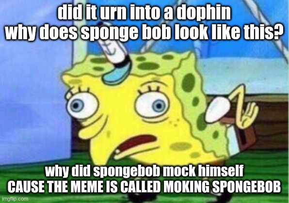 Mocking Spongebob | did it urn into a dophin why does sponge bob look like this? why did spongebob mock himself CAUSE THE MEME IS CALLED MOKING SPONGEBOB | image tagged in memes,mocking spongebob | made w/ Imgflip meme maker