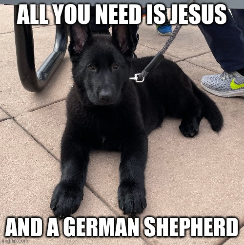 All you need is Jesus and a German shepherd | ALL YOU NEED IS JESUS; AND A GERMAN SHEPHERD | image tagged in jesus,german shepherd,dog | made w/ Imgflip meme maker
