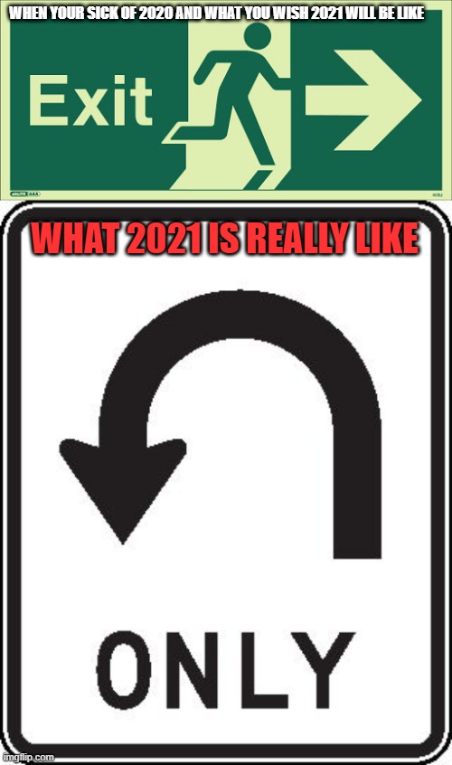 20201 meme | WHEN YOUR SICK OF 2020 AND WHAT YOU WISH 2021 WILL BE LIKE; WHAT 2021 IS REALLY LIKE | image tagged in 2021 | made w/ Imgflip meme maker