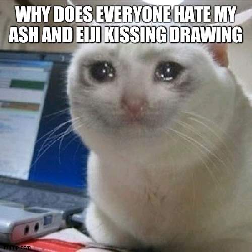 fsvcsfddfv | WHY DOES EVERYONE HATE MY ASH AND EIJI KISSING DRAWING | image tagged in crying cat | made w/ Imgflip meme maker