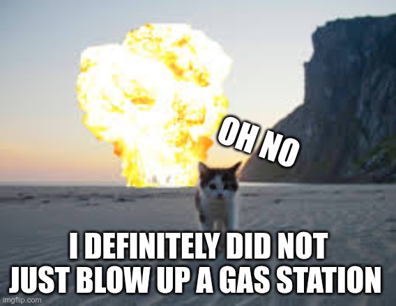 cat explode | OH NO; I DEFINITELY DID NOT JUST BLOW UP A GAS STATION | image tagged in cat explode | made w/ Imgflip meme maker