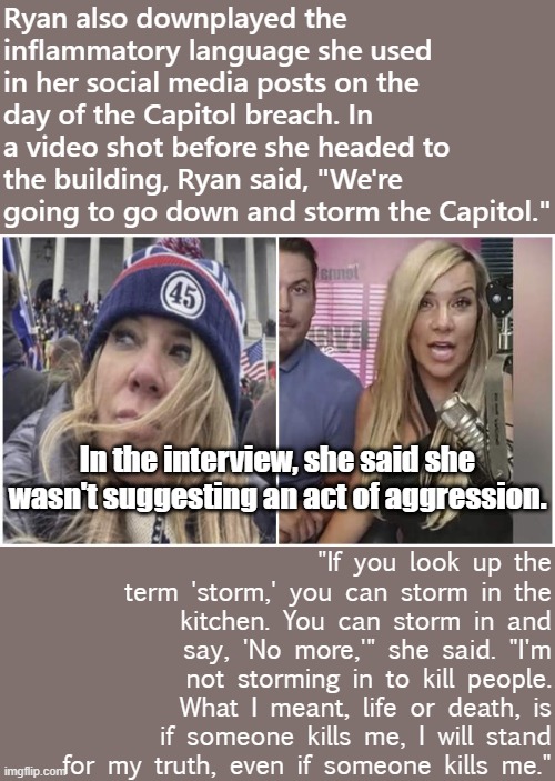 "You can storm into the kitchen! Look it up, libtards!!" *proceeds to commit treason* | Ryan also downplayed the inflammatory language she used in her social media posts on the day of the Capitol breach. In a video shot before she headed to the building, Ryan said, "We're going to go down and storm the Capitol."; "If you look up the term 'storm,' you can storm in the kitchen. You can storm in and say, 'No more,'" she said. "I'm not storming in to kill people. What I meant, life or death, is if someone kills me, I will stand for my truth, even if someone kills me."; In the interview, she said she wasn't suggesting an act of aggression. | image tagged in jenna ryan,rioters,riot,maga,conservative logic,capitol hill | made w/ Imgflip meme maker