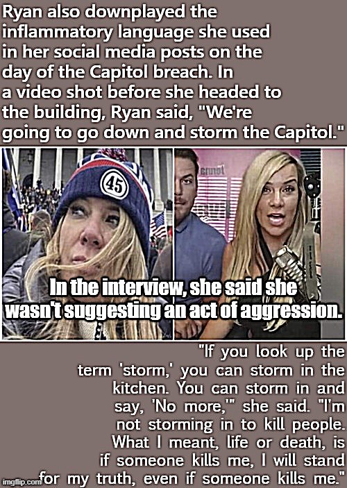 "You can storm into the kitchen! Look it up, libtards!!" *proceeds to commit treason* | image tagged in jenna ryan storm the capitol,maga,rioters,riots,conservative logic,capitol hill | made w/ Imgflip meme maker