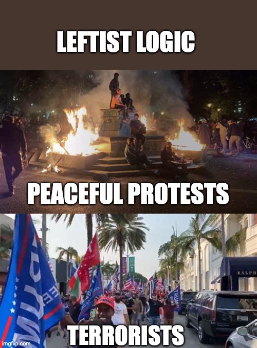 Leftist 'Logic' |  LEFTIST LOGIC; PEACEFUL PROTESTS; TERRORISTS | image tagged in antifa,patriots,leftists,hypocrisy,terrorists | made w/ Imgflip meme maker