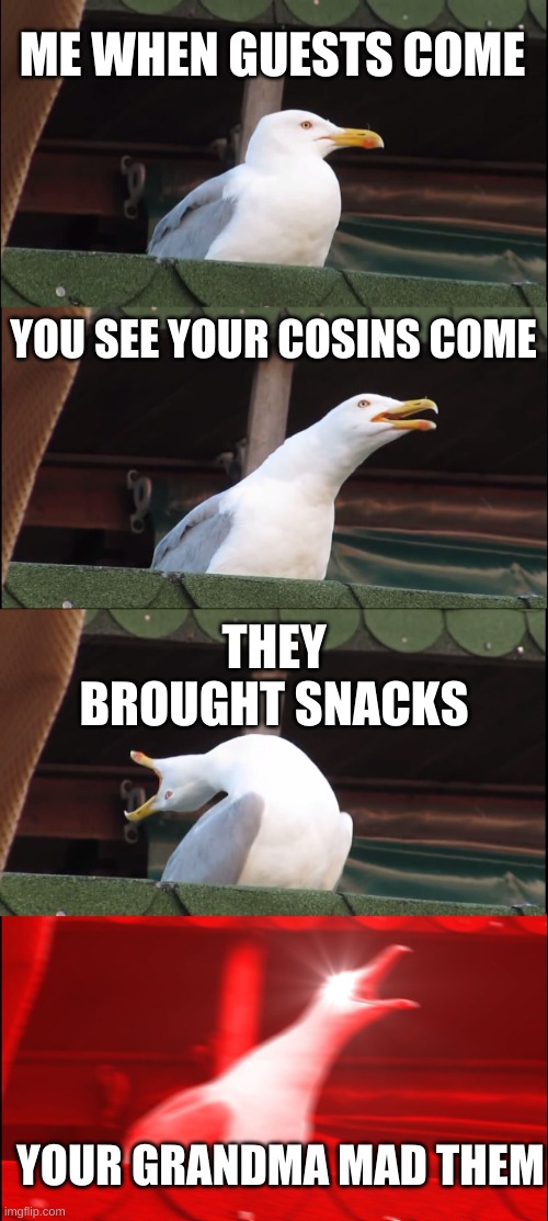 Inhaling Seagull | ME WHEN GUESTS COME; YOU SEE YOUR COSINS COME; THEY BROUGHT SNACKS; YOUR GRANDMA MAD THEM | image tagged in memes,inhaling seagull | made w/ Imgflip meme maker