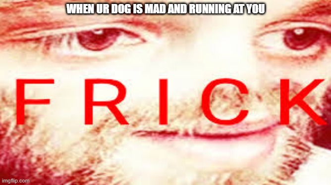 Yub Saying Frick | WHEN UR DOG IS MAD AND RUNNING AT YOU | image tagged in yub saying frick | made w/ Imgflip meme maker