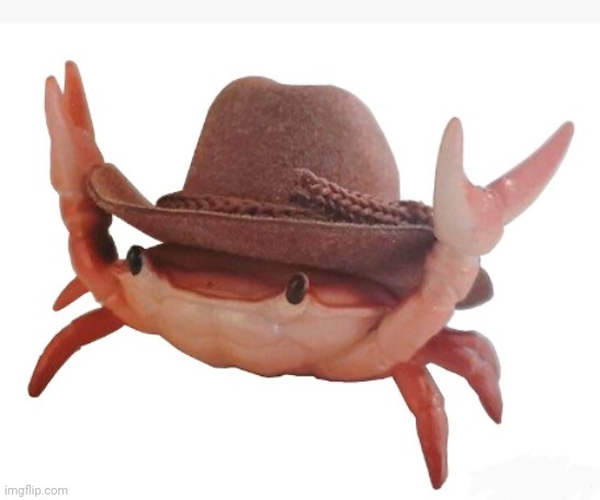 Brothers, I posted an image of a crab with a hat. Please upvote (2 points) | image tagged in crab | made w/ Imgflip meme maker