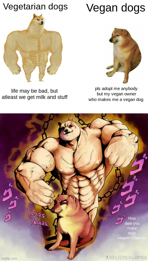 NO VEGAN DOGS | Vegetarian dogs; Vegan dogs; life may be bad, but atleast we get milk and stuff; pls adopt me anybody but my vegan owner who makes me a vegan dog; How dare you make dogs vegam -Cheems | image tagged in memes,buff doge vs cheems,jojo doge vs cheems | made w/ Imgflip meme maker