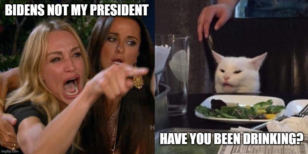 Woman yelling at cat | BIDENS NOT MY PRESIDENT; HAVE YOU BEEN DRINKING? | image tagged in woman yelling at cat | made w/ Imgflip meme maker