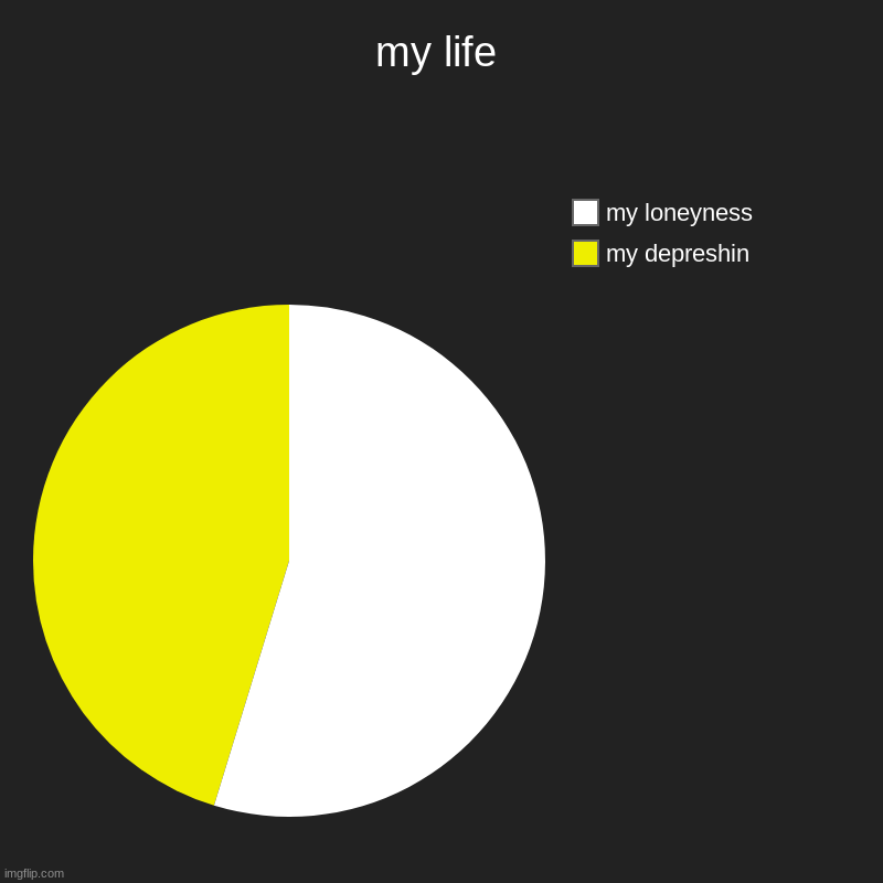 my life | my depreshin, my loneyness | image tagged in charts,pie charts | made w/ Imgflip chart maker