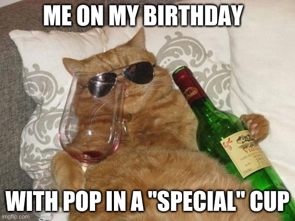 Funny Cat Birthday | ME ON MY BIRTHDAY; WITH POP IN A ''SPECIAL'' CUP | image tagged in funny cat birthday | made w/ Imgflip meme maker