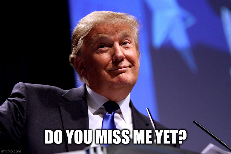 Donald Trump No2 | DO YOU MISS ME YET? | image tagged in donald trump no2 | made w/ Imgflip meme maker