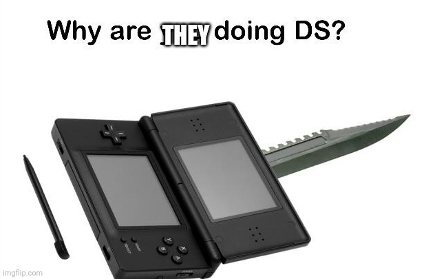 Why Are You Doing DS? | THEY | image tagged in why are you doing ds | made w/ Imgflip meme maker