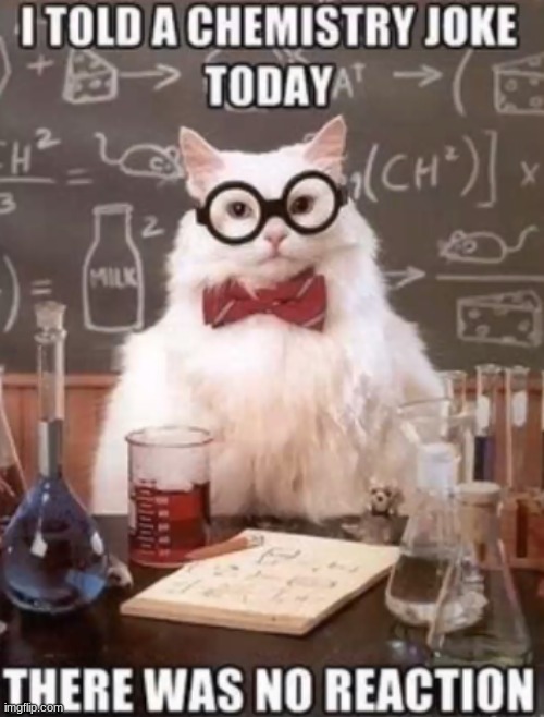 CHEMISTRY | image tagged in chemistry cat,nerd | made w/ Imgflip meme maker