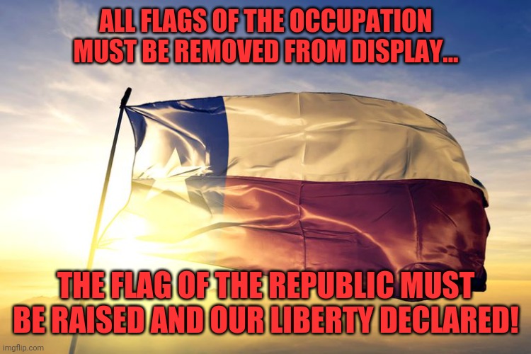 Texas must be free! | ALL FLAGS OF THE OCCUPATION MUST BE REMOVED FROM DISPLAY... THE FLAG OF THE REPUBLIC MUST BE RAISED AND OUR LIBERTY DECLARED! | image tagged in texas,texas independence,liberty,texians,texans,secessionist | made w/ Imgflip meme maker