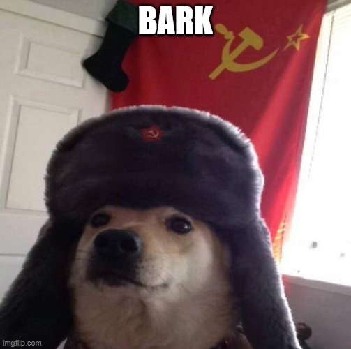 Russian Doge | BARK | image tagged in russian doge | made w/ Imgflip meme maker