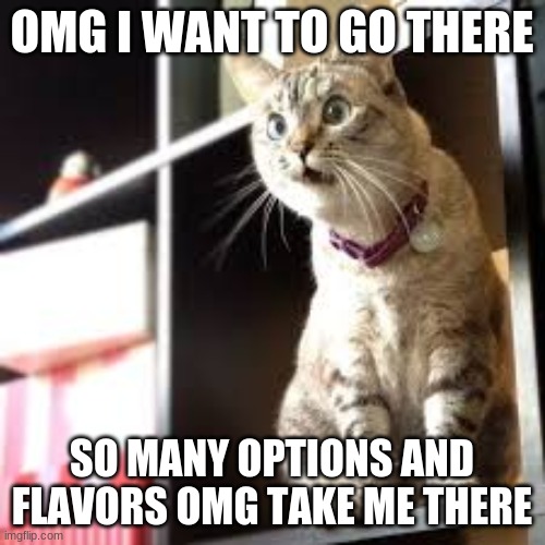 OMG I WANT TO GO THERE SO MANY OPTIONS AND FLAVORS OMG TAKE ME THERE | made w/ Imgflip meme maker