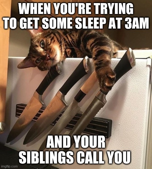 Cat with Knives | WHEN YOU'RE TRYING TO GET SOME SLEEP AT 3AM; AND YOUR SIBLINGS CALL YOU | image tagged in cat with knives | made w/ Imgflip meme maker