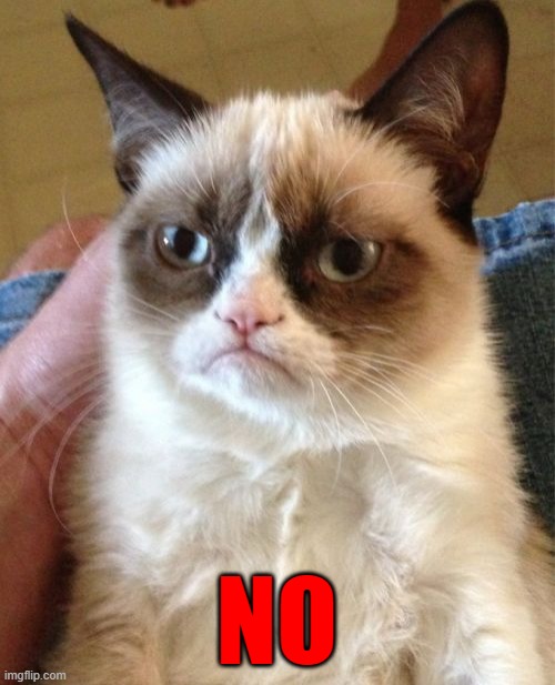 Grumpy Cat Meme | NO | image tagged in memes,grumpy cat | made w/ Imgflip meme maker