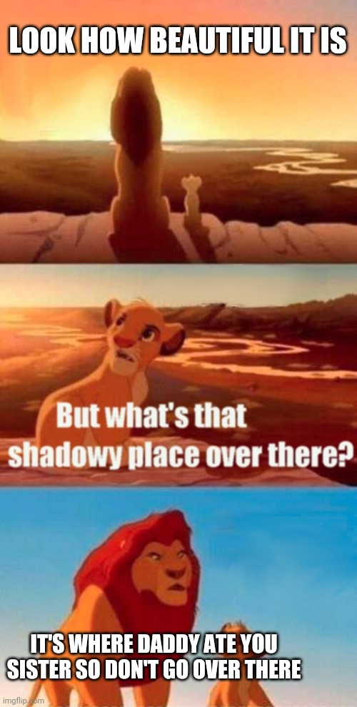 Simba Shadowy Place | LOOK HOW BEAUTIFUL IT IS; IT'S WHERE DADDY ATE YOU SISTER SO DON'T GO OVER THERE | image tagged in memes,simba shadowy place | made w/ Imgflip meme maker