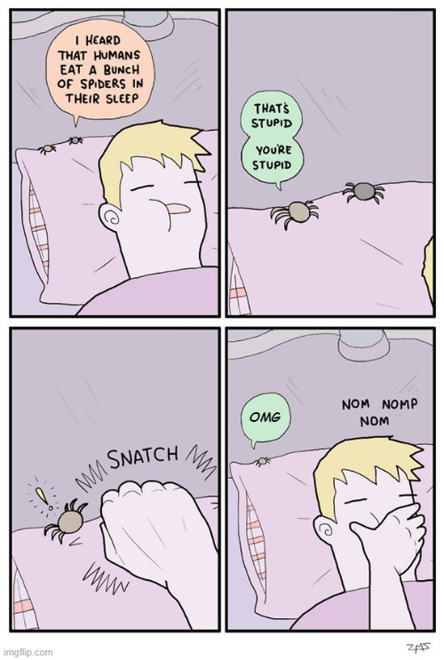 I've heard of this so try not to sleep with your mouth open!!! | OMG | image tagged in comics/cartoons,comics,spiders | made w/ Imgflip meme maker