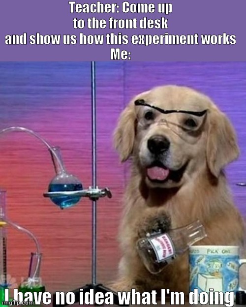 M.E.M.E | Teacher: Come up to the front desk and show us how this experiment works
Me:; I have no idea what I'm doing | image tagged in memes,i have no idea what i am doing dog,hehehe,okay idk it's just for fun,what | made w/ Imgflip meme maker