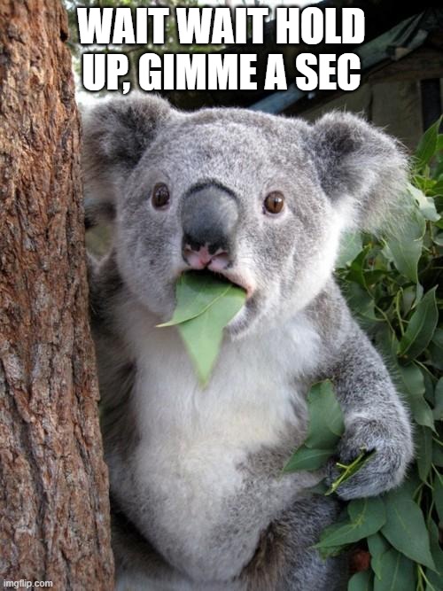 Surprised Koala | WAIT WAIT HOLD UP, GIMME A SEC | image tagged in memes,surprised koala | made w/ Imgflip meme maker