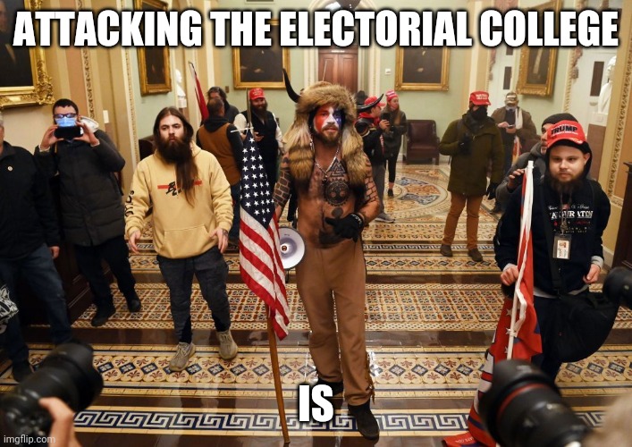Capitol Buffalo guy | ATTACKING THE ELECTORIAL COLLEGE IS | image tagged in capitol buffalo guy | made w/ Imgflip meme maker