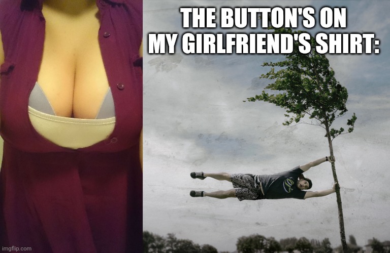 THE BUTTON'S ON MY GIRLFRIEND'S SHIRT: | image tagged in big boobs,hanging on | made w/ Imgflip meme maker