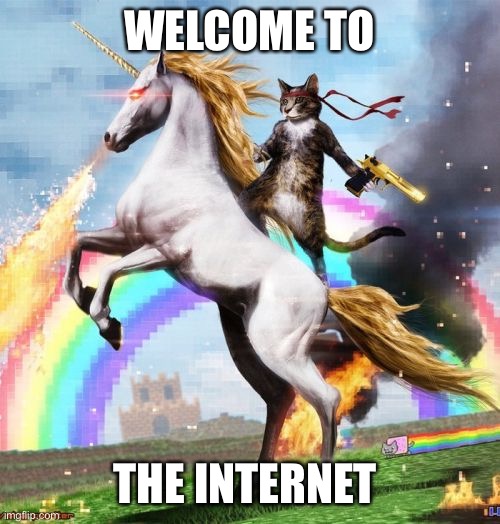 Welcome To The Internets | WELCOME TO; THE INTERNET | image tagged in memes,welcome to the internets | made w/ Imgflip meme maker