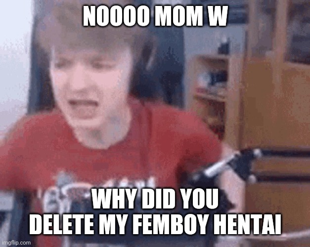 Pe | NOOOO MOM W; WHY DID YOU DELETE MY FEMBOY HENTAI | image tagged in nook my hentai | made w/ Imgflip meme maker