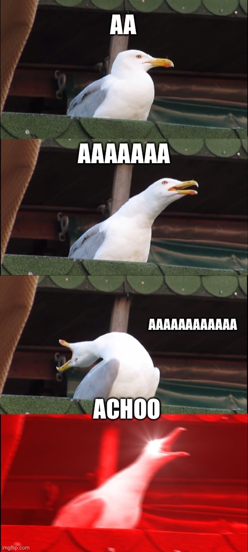 Inhaling Seagull | AA; AAAAAAA; AAAAAAAAAAAA; ACHOO | image tagged in memes,inhaling seagull | made w/ Imgflip meme maker