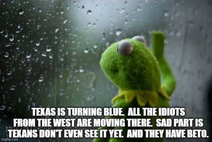 kermit window | TEXAS IS TURNING BLUE.  ALL THE IDIOTS FROM THE WEST ARE MOVING THERE.  SAD PART IS TEXANS DON'T EVEN SEE IT YET.  AND THEY HAVE BETO. | image tagged in kermit window | made w/ Imgflip meme maker