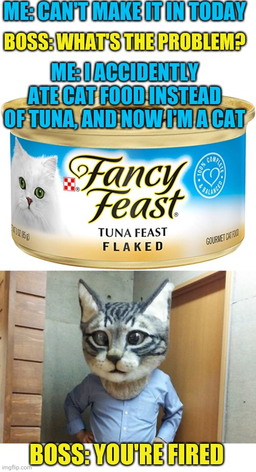 JUST MOVE IN WITH A CRAZY CAT LADY | ME: CAN'T MAKE IT IN TODAY; BOSS: WHAT'S THE PROBLEM? ME: I ACCIDENTLY ATE CAT FOOD INSTEAD OF TUNA, AND NOW I'M A CAT; BOSS: YOU'RE FIRED | image tagged in memes,blank transparent square,funny cats,work,texting | made w/ Imgflip meme maker