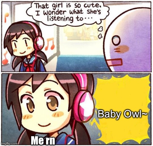 That Girl Is So Cute, I Wonder What She’s Listening To… | Baby Owl~; Me rn | image tagged in that girl is so cute i wonder what she s listening to | made w/ Imgflip meme maker
