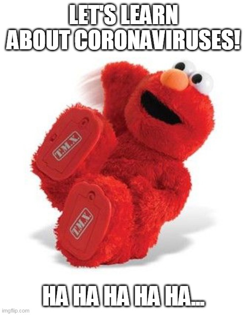 Elmo Laughing | LET'S LEARN ABOUT CORONAVIRUSES! HA HA HA HA HA... | image tagged in elmo laughing | made w/ Imgflip meme maker