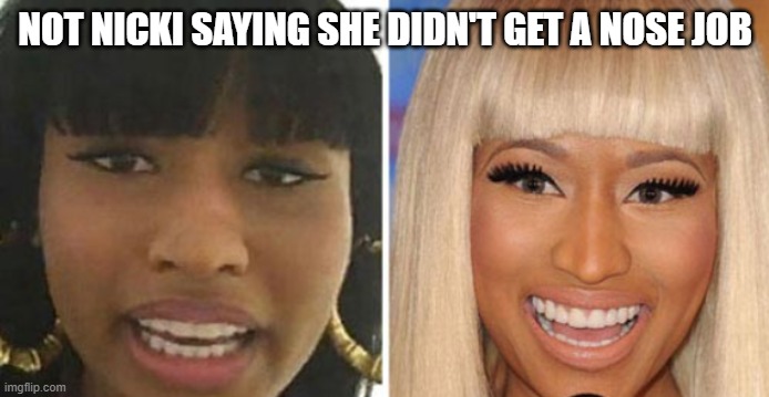 NOT NICKI SAYING SHE DIDN'T GET A NOSE JOB | made w/ Imgflip meme maker