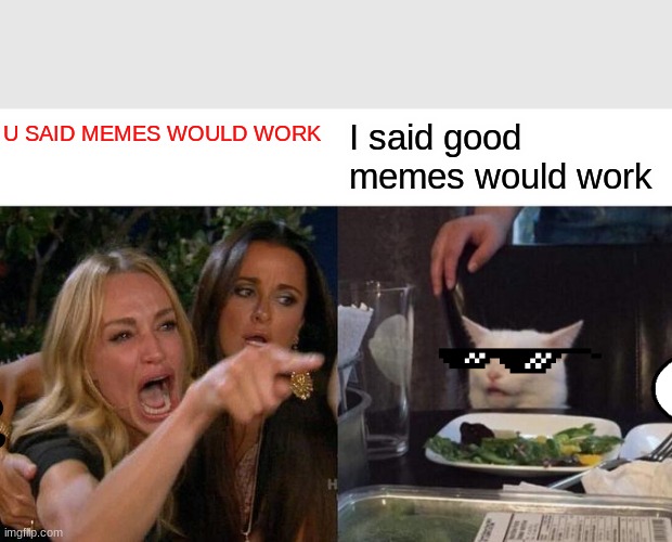 Woman Yelling At Cat | U SAID MEMES WOULD WORK; I said good memes would work | image tagged in memes,woman yelling at cat | made w/ Imgflip meme maker